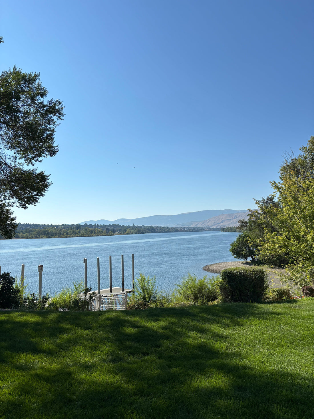 Morning Walk Reflections