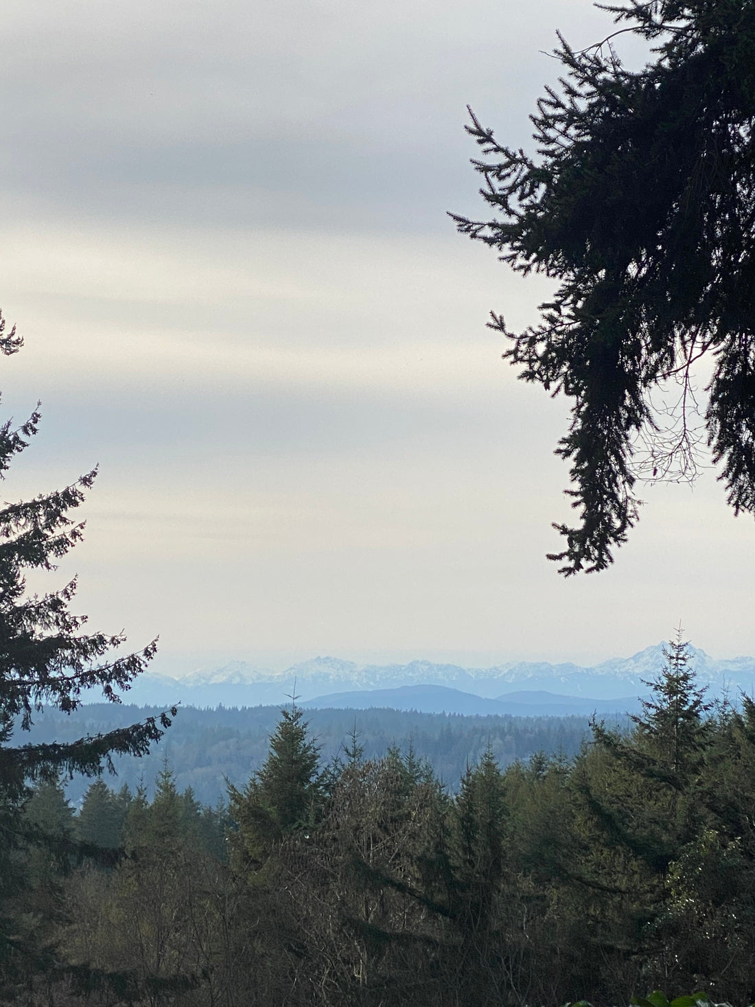 We Are One, We Are Love: Thoughts On Empathy