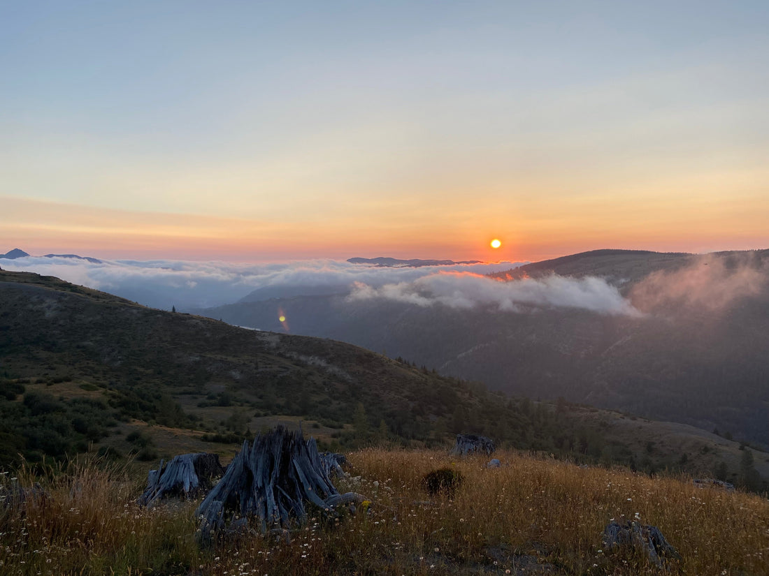 Welcome to Ever and Alder: A Love Letter to the Life We Actually Live