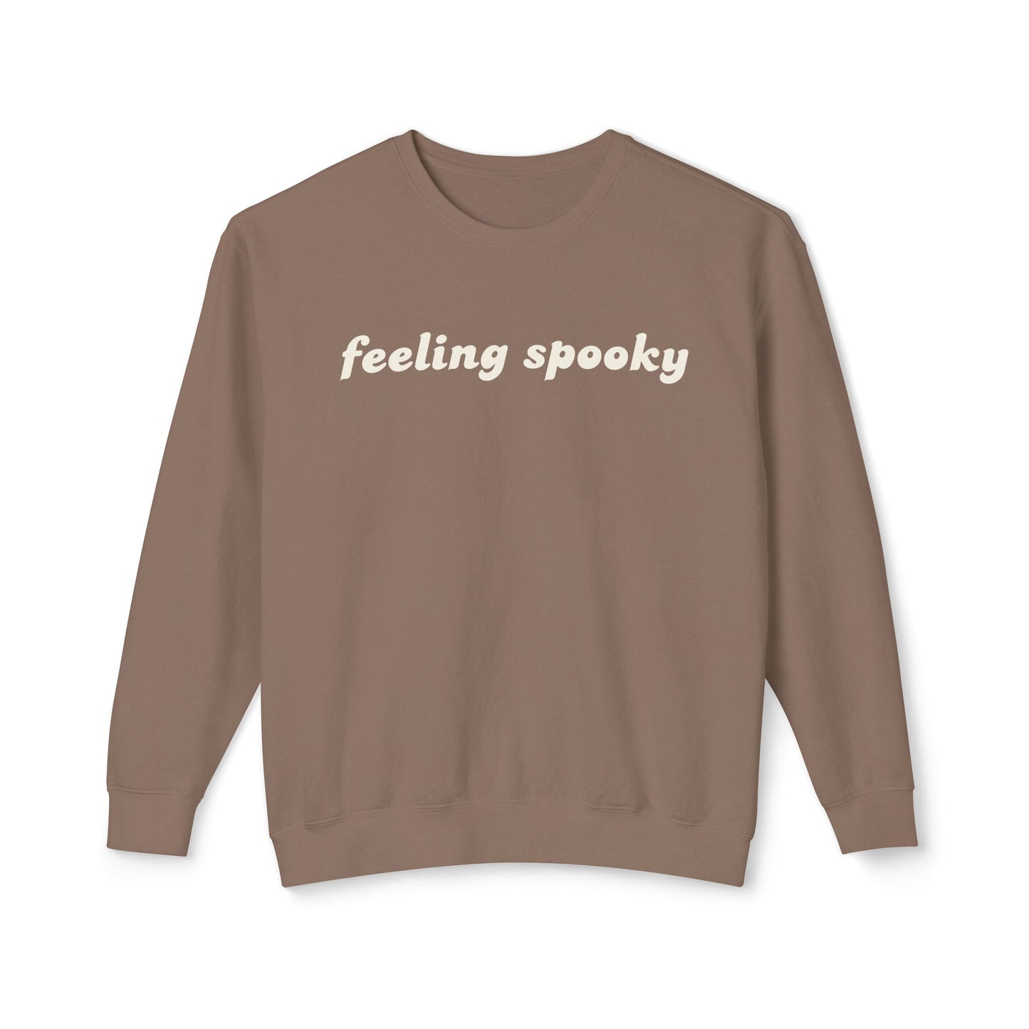 Feeling Spooky Lightweight Sweatshirt, Cozy Fall Sweatshirt, Halloween Apparel, Casual Sweat Top, Perfect for [...]